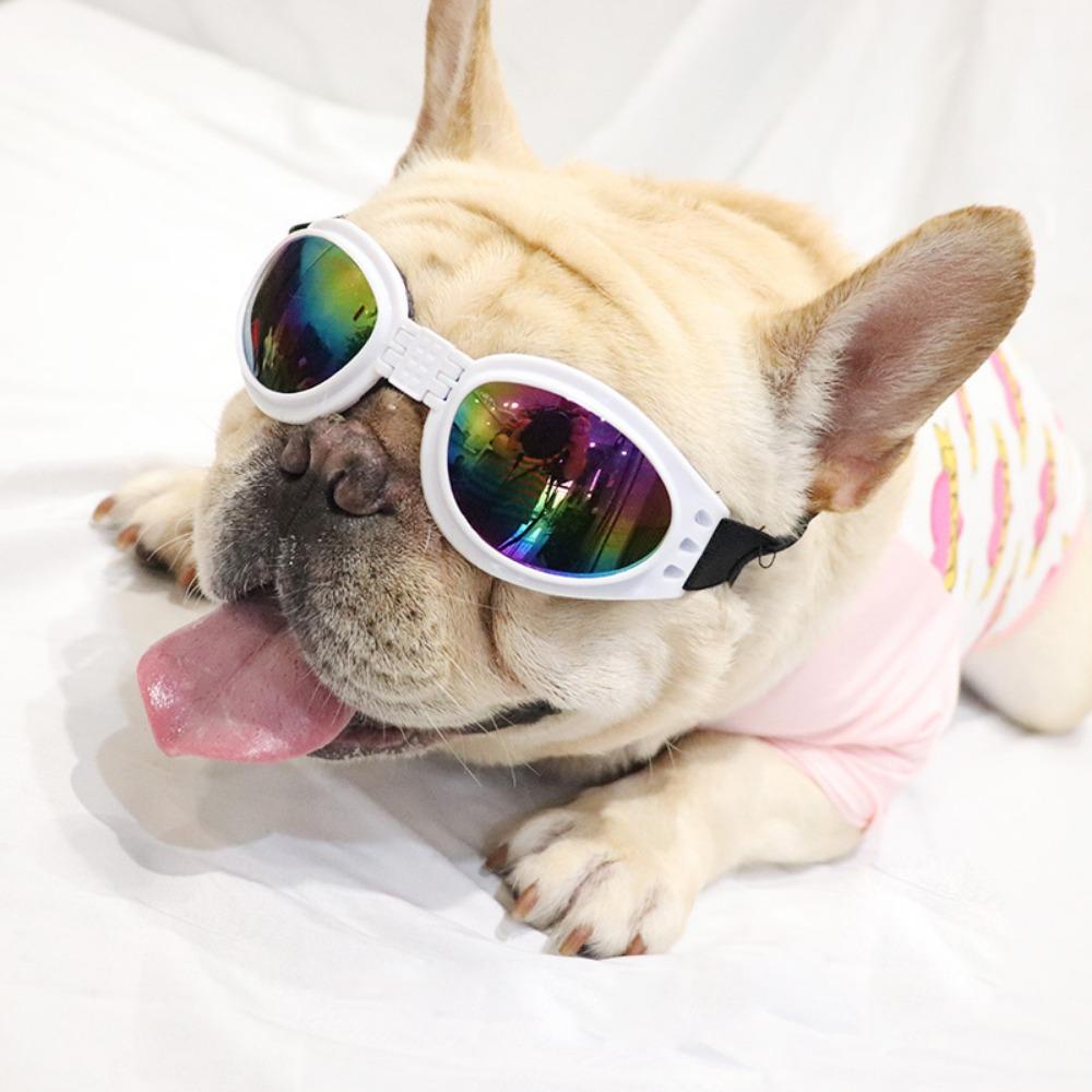 UV Foldable Goggles Pet Eyewear Anti-wind Glasses Dog Protection Dog Glasses