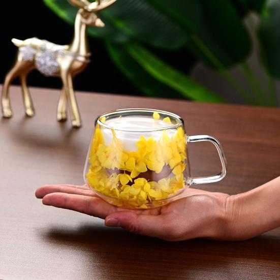 200ML Clear Glass Mug Double Wall Insulated Cup with Handle Aesthetic Dehydrated Flower Design Heat Preserving Tumbler for Coffee Tea