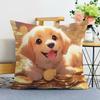 Pet Dog Print Decorative Pillowcase Bedroom Living Room Square Cushion Pillowcase