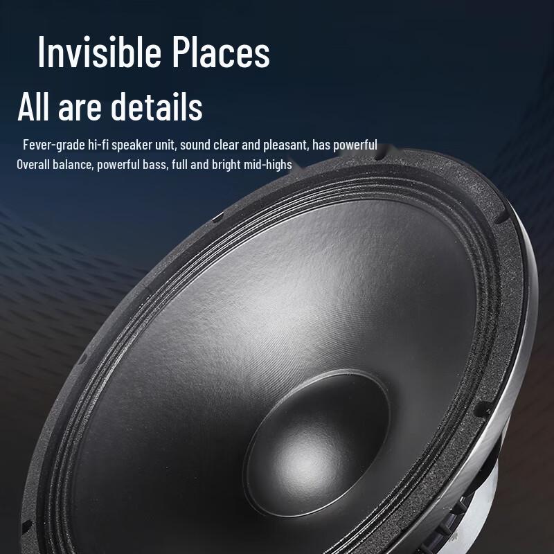 HuiDu Professional Stage Monitor Speaker ST-10CF