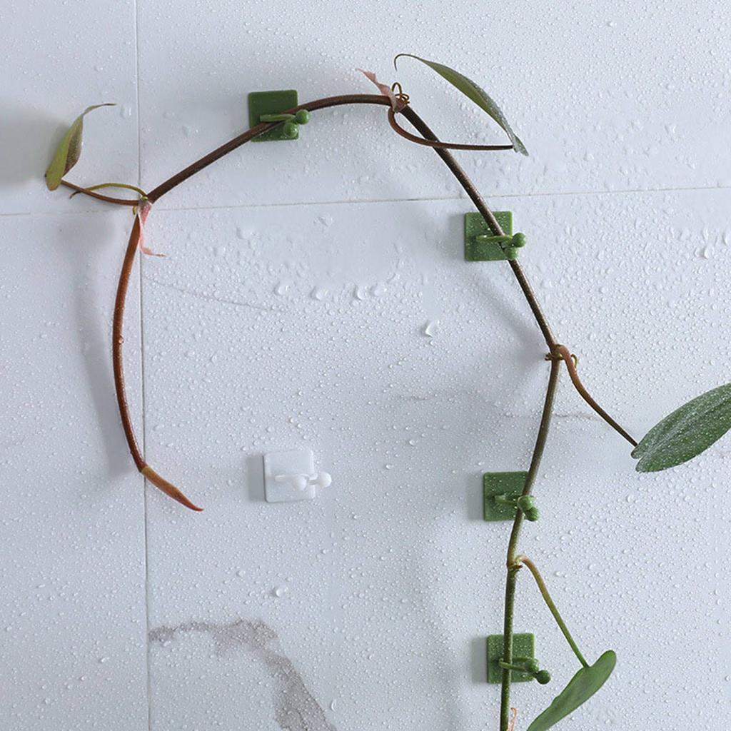 10 шт настенных зажимов для вьющихся растений Пластиковые самоклеящиеся зеленые зажимы для поддержки растений