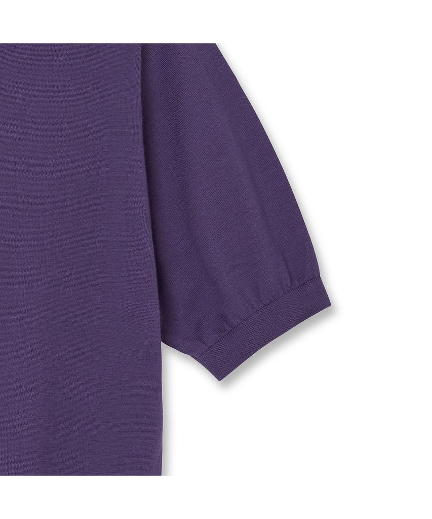 Iolo V-Cut Collar Shirt_Purple