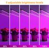 RnnTuu LED Grow Light USB Phyto Lamp Full Spectrum Fitolamp с управлением Phytolamp для растений, рассады, цветочной домашней палатки