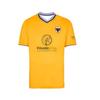 Домашняя и гостевая футбольная футболка AFC Wimbledon сезона 2025-26, версия с 3D-печатью для комфорта, подходит для взрослых, футболка