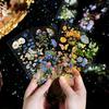 3 Sheets Retro Flower Plant PET Stickers for Scrapbooking DIY Decorative Material Collage Journaling
