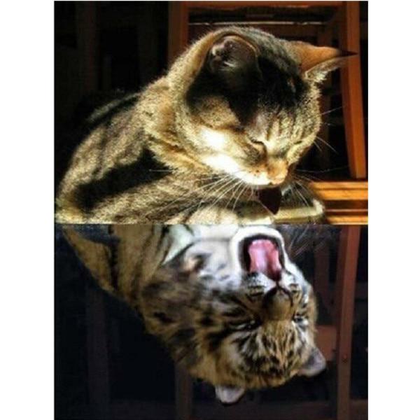 DIY Алмазная вышивка Отражение воды 5D Полный круг Алмазная картина Современное животное Вышивка крестом