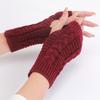 Women's Knitted Long Hand Gloves Warm Embroidered Mittens Winter Fingerless Glove for Women Girl