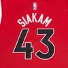 Nike Повседневный спортивный костюм Nba Collaboration Youth Raptors Siakam 43 Retro Letter Number Print V-образный вырез Быстросохнущий детский спортивный костюм Красный 3Z2B7BZ2P-RAPPS