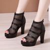 Fashion High-heeled Thick-heeled Sandals for Women 2025 Summer New Versatile Mesh Fish-mouth Shoes Waterproof Platform Hollow Roman