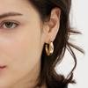 Champagne Full Moon (Y) Big Sicle Earrings Hl2E53216Ybxxx