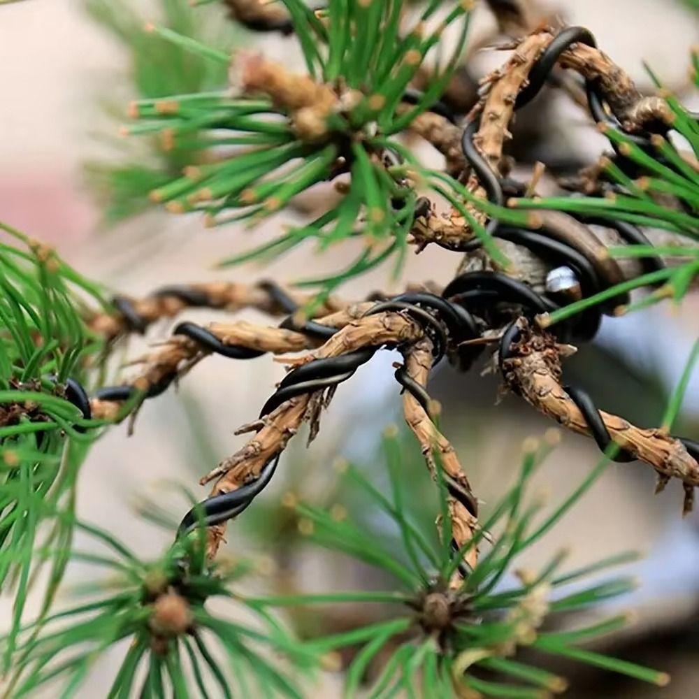 1Pcs Plant DIY Shape Bonsai Aluminum Wires Orchard Garden Tools  Home Use Garden Accessories