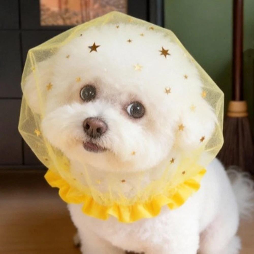 Face Cover Pet Protective Mask Anti-Mosquito Eating Dog Protective Veil  for Outdoor Use