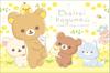 Простыня для отдыха Rilakkuma S Chairoikoguma BV45701 San-X