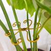 5Pcs Plant Stem Support Reusable Monstera Plant Support Plant Stem Holder Plant Stabilizer
