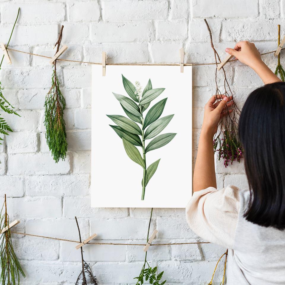 Plakat zielona gałązka