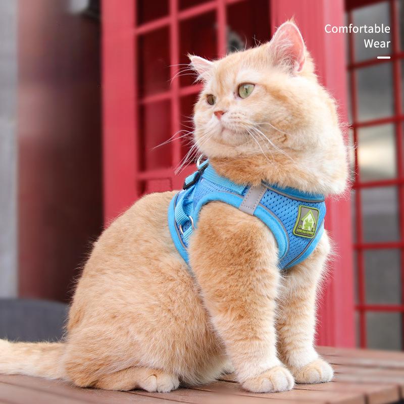 Cat Chest Harness with Leash Reflective Puppy Chest Strap Pet Mesh Breathable Chest Back Walking Cat Rope Kitten Leash