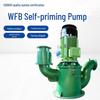 WFB Corrosion-Resistant Vertical Sealless Self-Priming Control Pump for Large Suction Lift and Sewage Discharge
