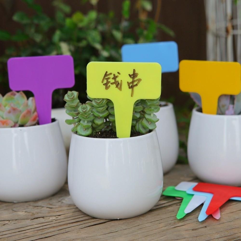 100PCS Thickened Stake Tags Waterproof T-type Tags Garden Tools Markers Label Garden