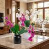 5 Heads Simulation Orchid Flowers Realistic Faux Phalaenopsis Fake Flower  Home Living Room Decor