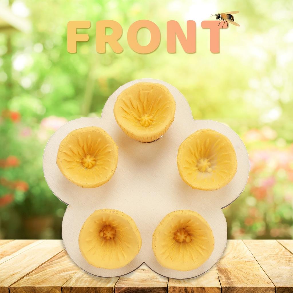 Пчелиные чашки для сада, станция поения пчел, пчелиные чашки с водой для пчел в саду, поилка для пчел, красочная мини-поилка для садовых веранд