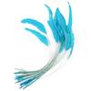 10Pcs Multicolor Rooster Feather Natural Feather Clothing Accessories Feathers  Headwear Accessories