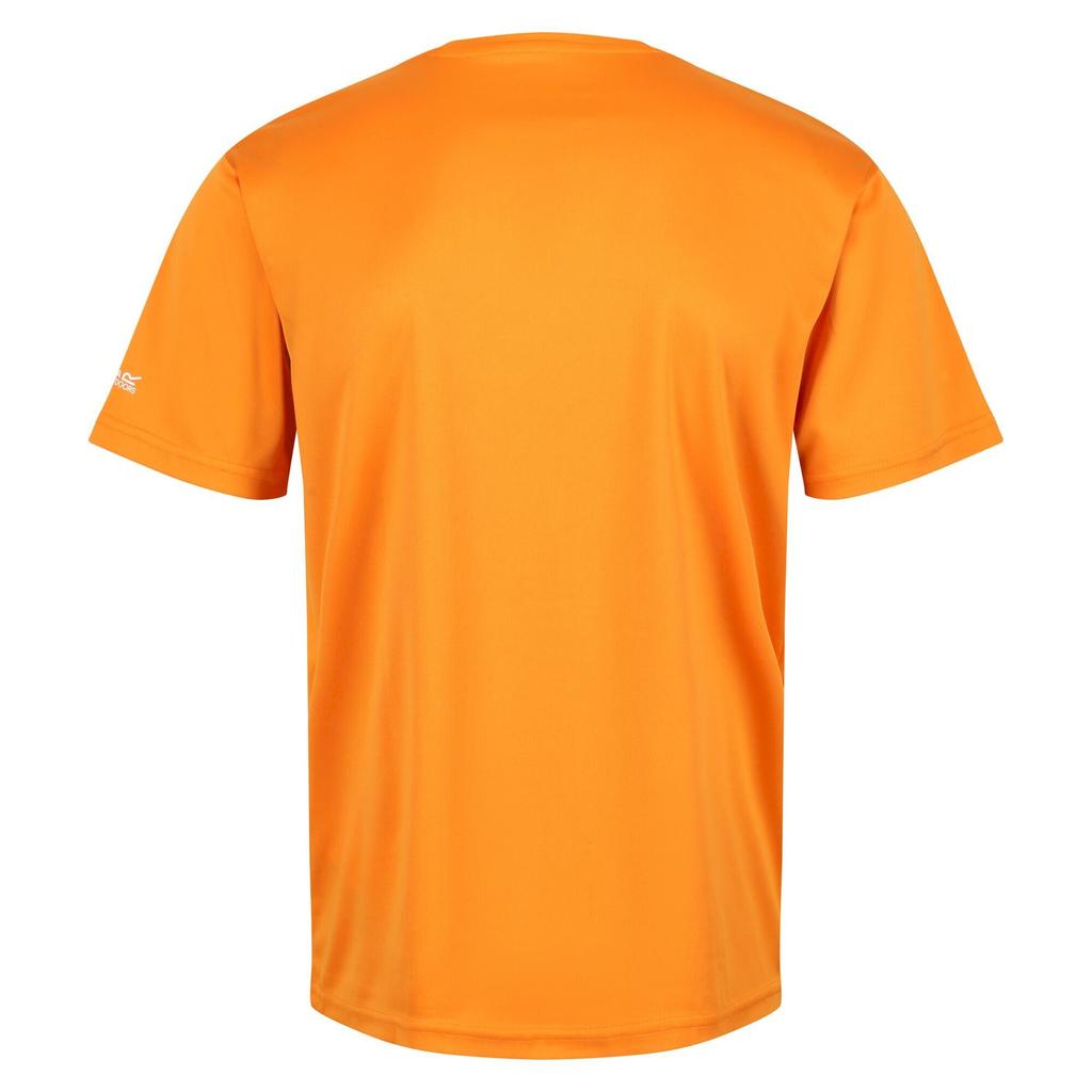 Regatta Mens Fingal VI T-Shirt