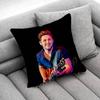 Singer N-Niall H-Horan Throw Pillow Case For 55X55Cm 30X30Cm 50X50Cm 45X45Cm 40X40Cm Square Chair Pillowcase Case