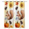 Squirrels Pumpkins Autumn Maple Leaves Pine Cones Blackout Curtains For Living Room Bedroom Window Treatment Blinds Drapes