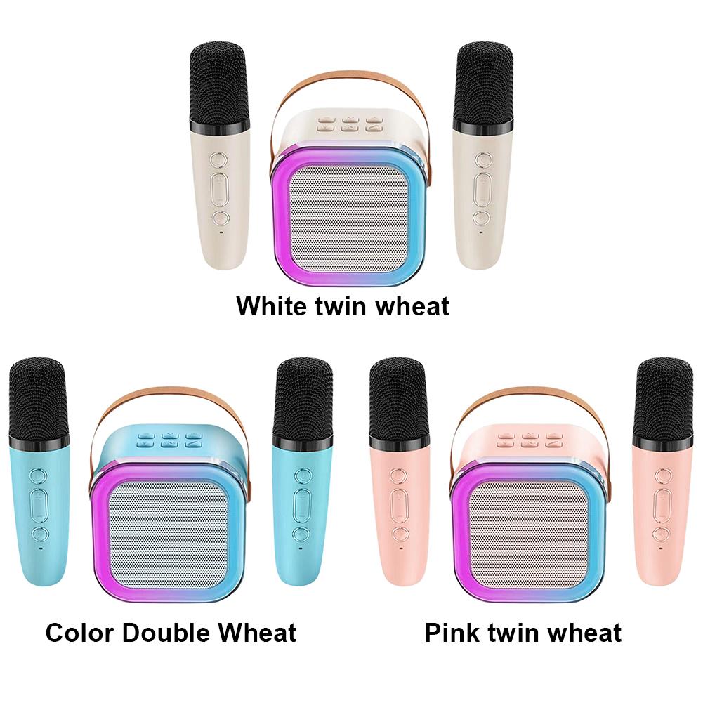 Совместимая с Bluetooth портативная домашняя караоке-машина KTV с 2 беспроводными микрофонами для пения детей и взрослых