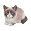 Woobia Ворчливый сиамский кот x x Кукла Фигурка Украшение Животное Садовое украшение Кот H15112 28.6 17.3 17.8см