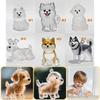 Pet Hair/Dog Hair Memorial Keychain Pet Hair Preservation Bottle Puppy Hair Collector Keychain Ornament Pet Hair Memorial Box Pet Fur Souvenirs Boxes