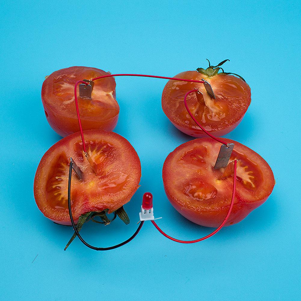 Children DIY Homemade Fruit Battery Power Educational Electricity Generating Experiment