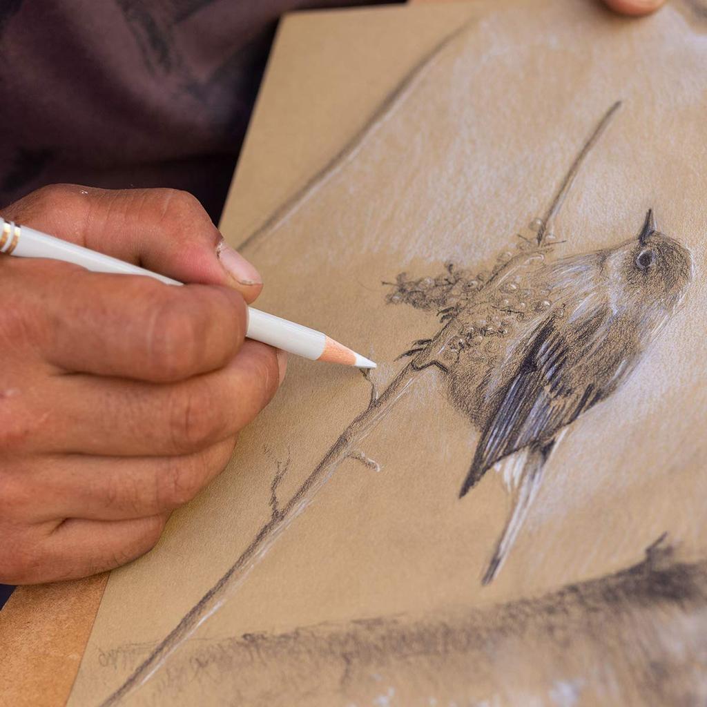 Набор белых угольных карандашей Brusarth Professional Набор из 3 белых карандашей для набросков и выделения - Рисование, Эскизирование, Штриховка, Растушевка,