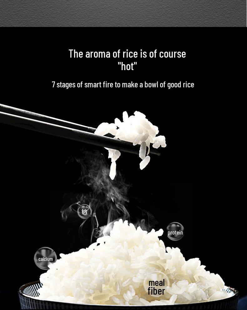 5L Multi-Function Smart Rice Cooker for Southeast Asia and Africa