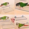Stainless Steel Bird Perch Platform Safe Bird Resting Jumping Shelf Stand for Parrots and Birds In Cage Accessories