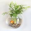 Home Decoration Wall Mount Fish Tanks Goldfish Bowl Acrylic Hanging Aquariums Flowerpot Flower Vase