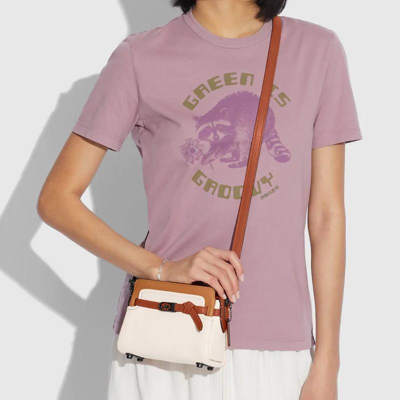 COACH Leather One Shoulder Crossbody Handheld Crossbody Bag Small Womens