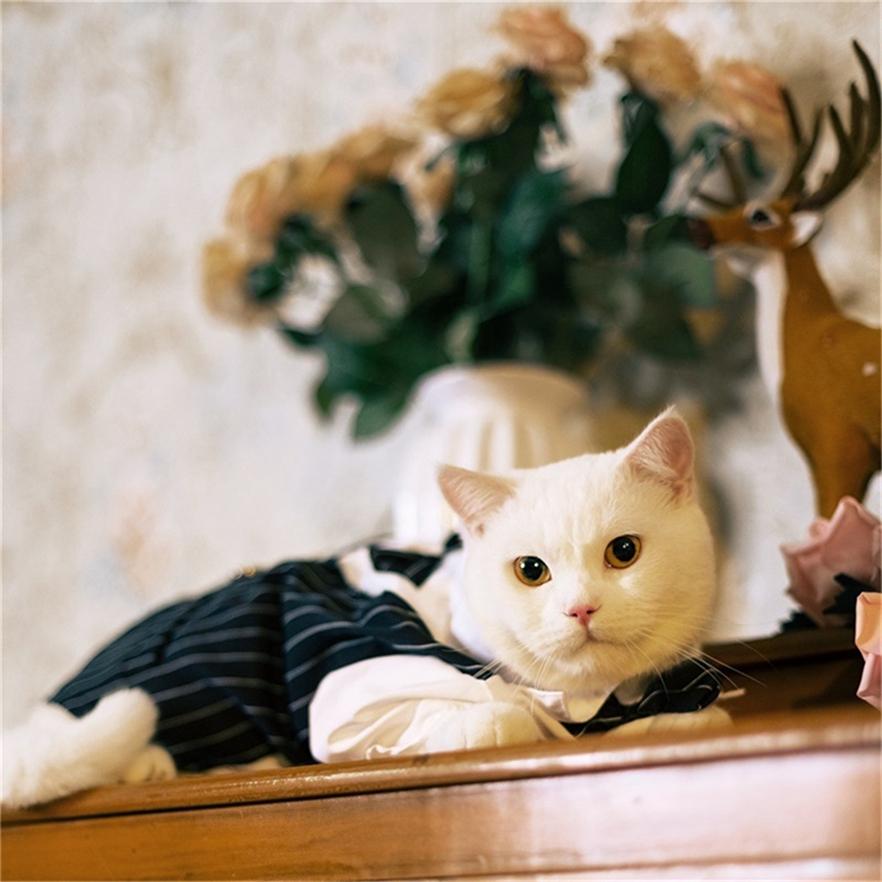 Изысканный костюм-рубашка для собак, модный костюм для кошек
