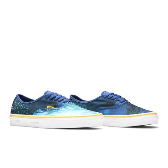 Vans Мужская обувь National Geographic x Authentic 'Ocean' VN0A2Z5I002