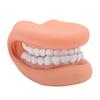 Mouth Puppet with Tongue 28 Teeth Silicone Speech Therapy Demonstration Teeth Model for Kids Teachin