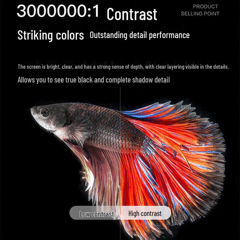 Sony VPL-C500XZ Business Laser Projector (CN version)