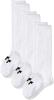 SSK Size White 3-Pair Socks, 10,
