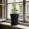 Горшок для орхидей с поддоном Цветочный горшок с боковыми вентиляционными отверстиями Горшок для растений с дренажными отверстиями Предотвращает загнивание для фаленопсисов роз Внутреннее и наружное использование