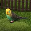 Simulation Parakeet Miniature Landscape Ornament Artificial Bird Model Props