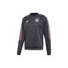 Печать логотипа Бавария Мюнхен Спортивный пуловер для футбола Серый Мужской FR3989