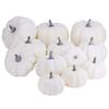 12Pcs White Artificial Pumpkins Assorted Bulk Table Decor Lifelike for All Hallows Day Fall Harvest 