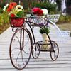 European-Style Multi-Layer Indoor Bicycle Flower Rack for Plants and Indoor Use