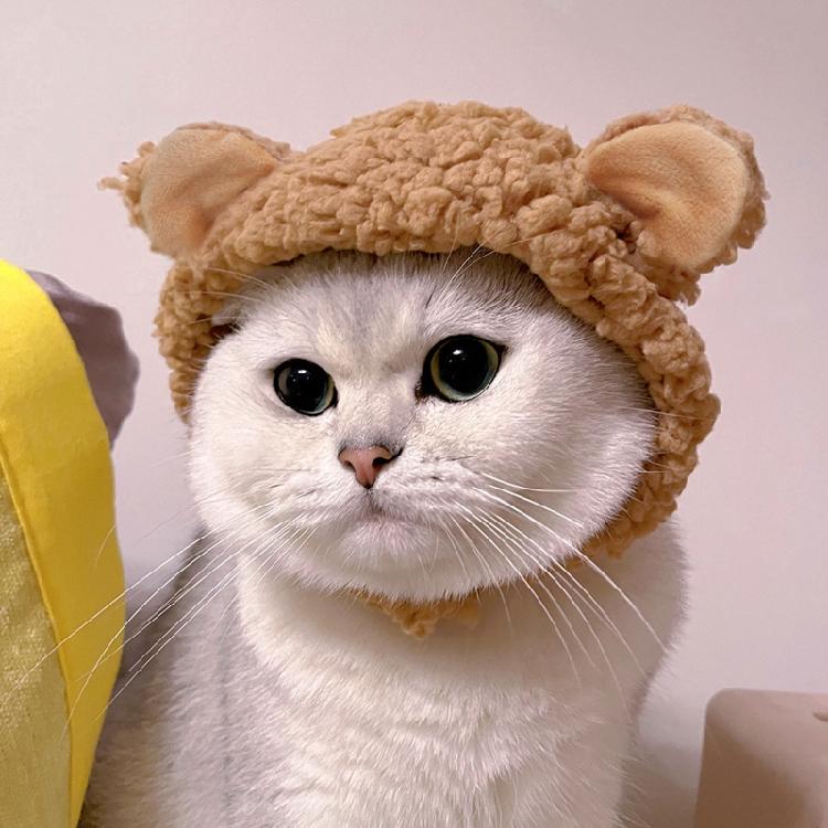 Шапка для питомца Медведь с ушами Милая шапка Аксессуары для вечеринки Кошки и собаки