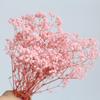 Yunnan Preserved Baby's Breath Bunch - Colorful DIY Home Decor Flower