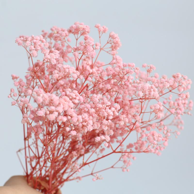 Yunnan Preserved Baby's Breath Bunch - Colorful DIY Home Decor Flower